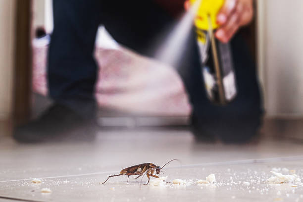 Poway, CA Pest Control Company